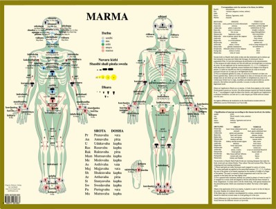 Marma Points Pic.jpg